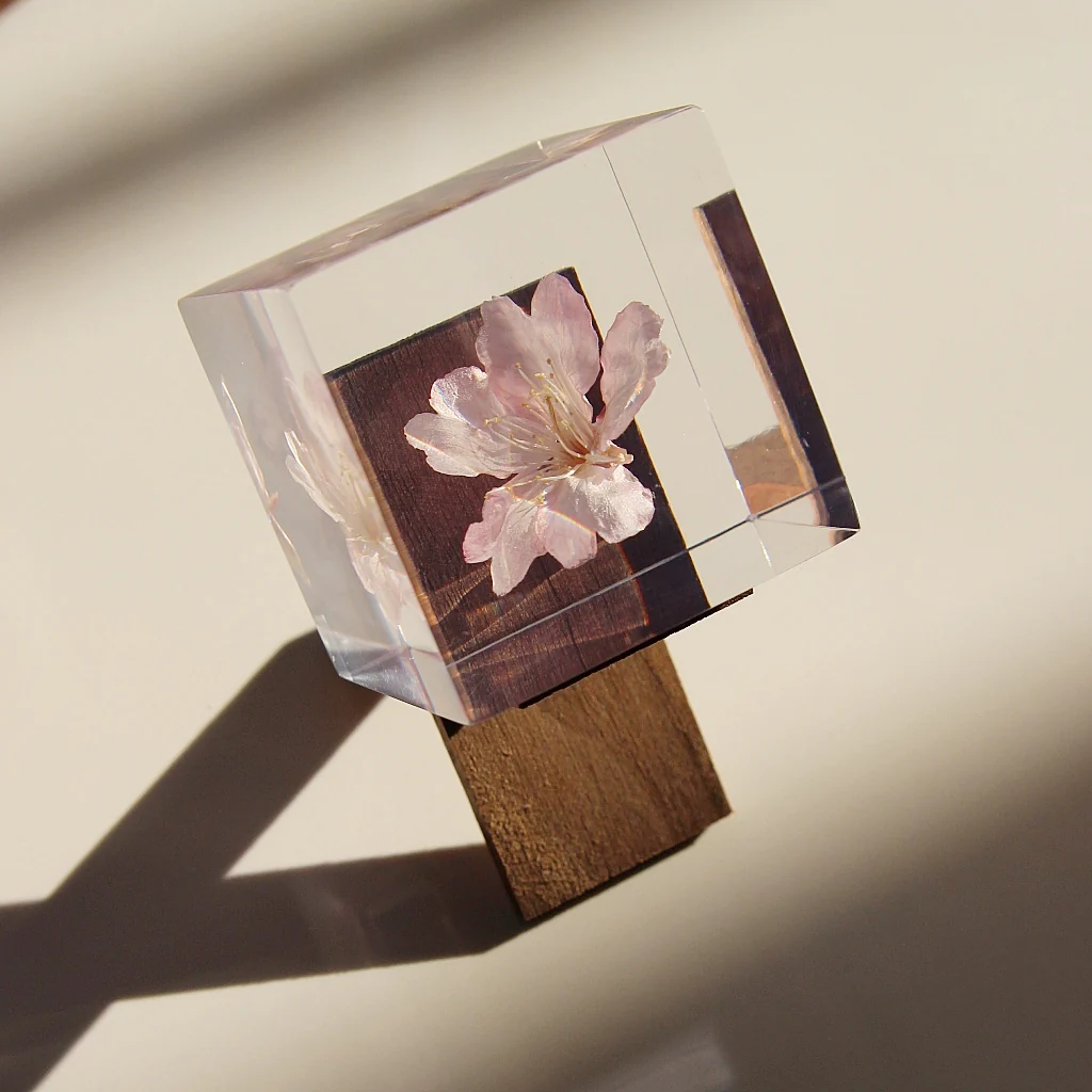 Sakura - Sola Cube - Image 3